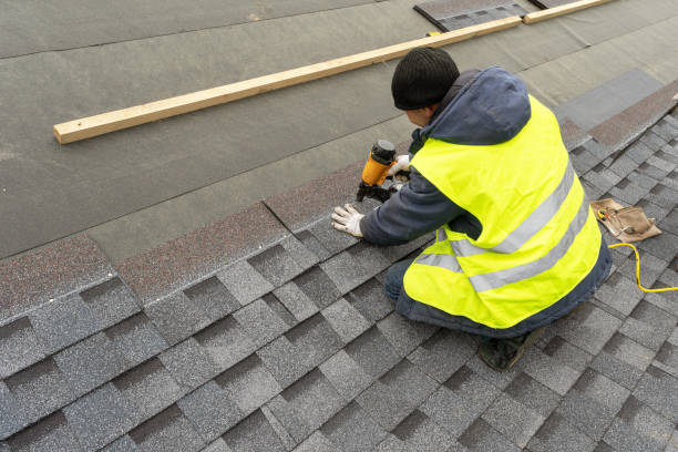 Best Local Roofing Companies  in Escobares, TX