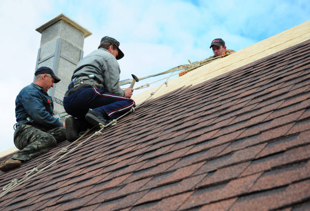 Best Affordable Roofing Company  in Escobares, TX