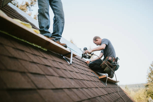 Best Residential Roofing Contractor  in Escobares, TX
